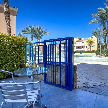 Iris Bloom פאפוס